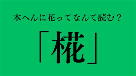 木 象|橡（木へんに象）とは？橡（木へんに象）の読み方や意味、成り。